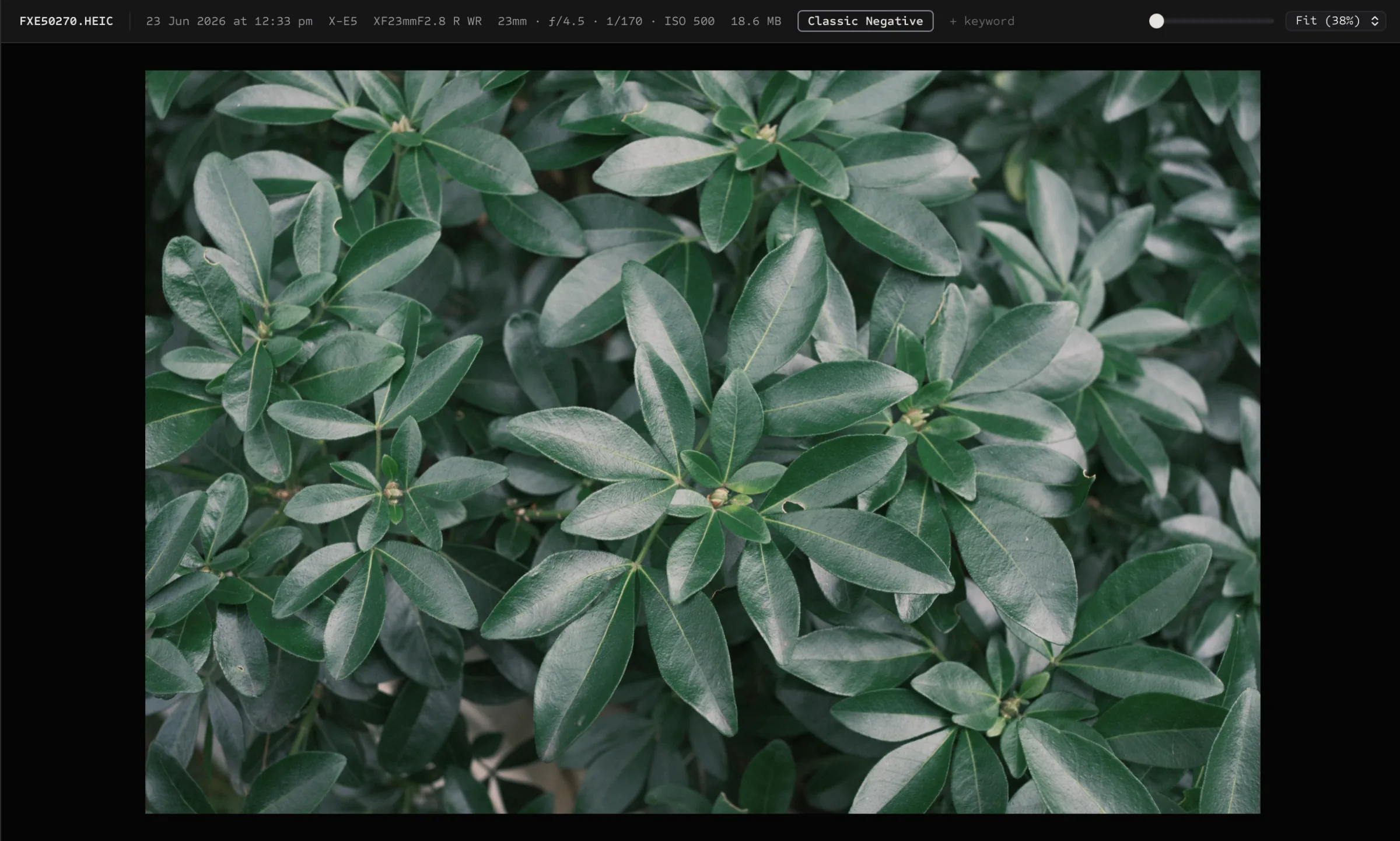 Proof metadata view showing Fujifilm film simulation details on Mac